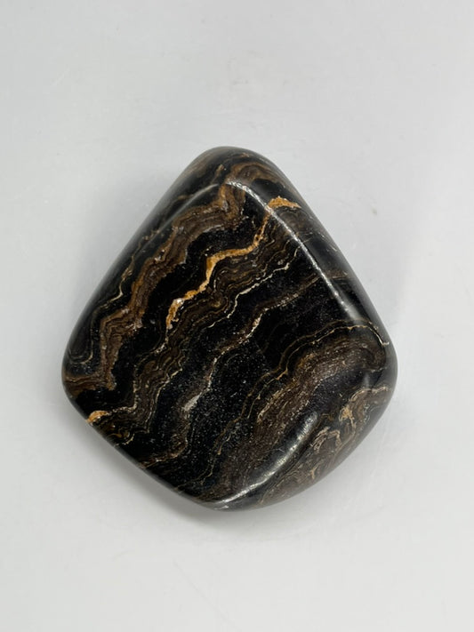 Stromatolit – polerowany okaz (mały) - ST-TB-B-001