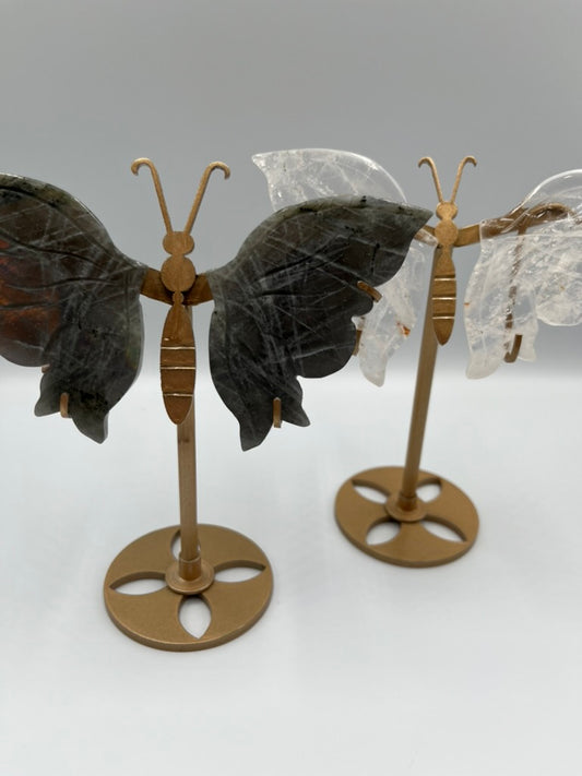 Motyl stojący (wybór)