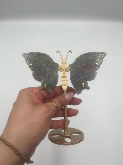 Motyl stojący (wybór)