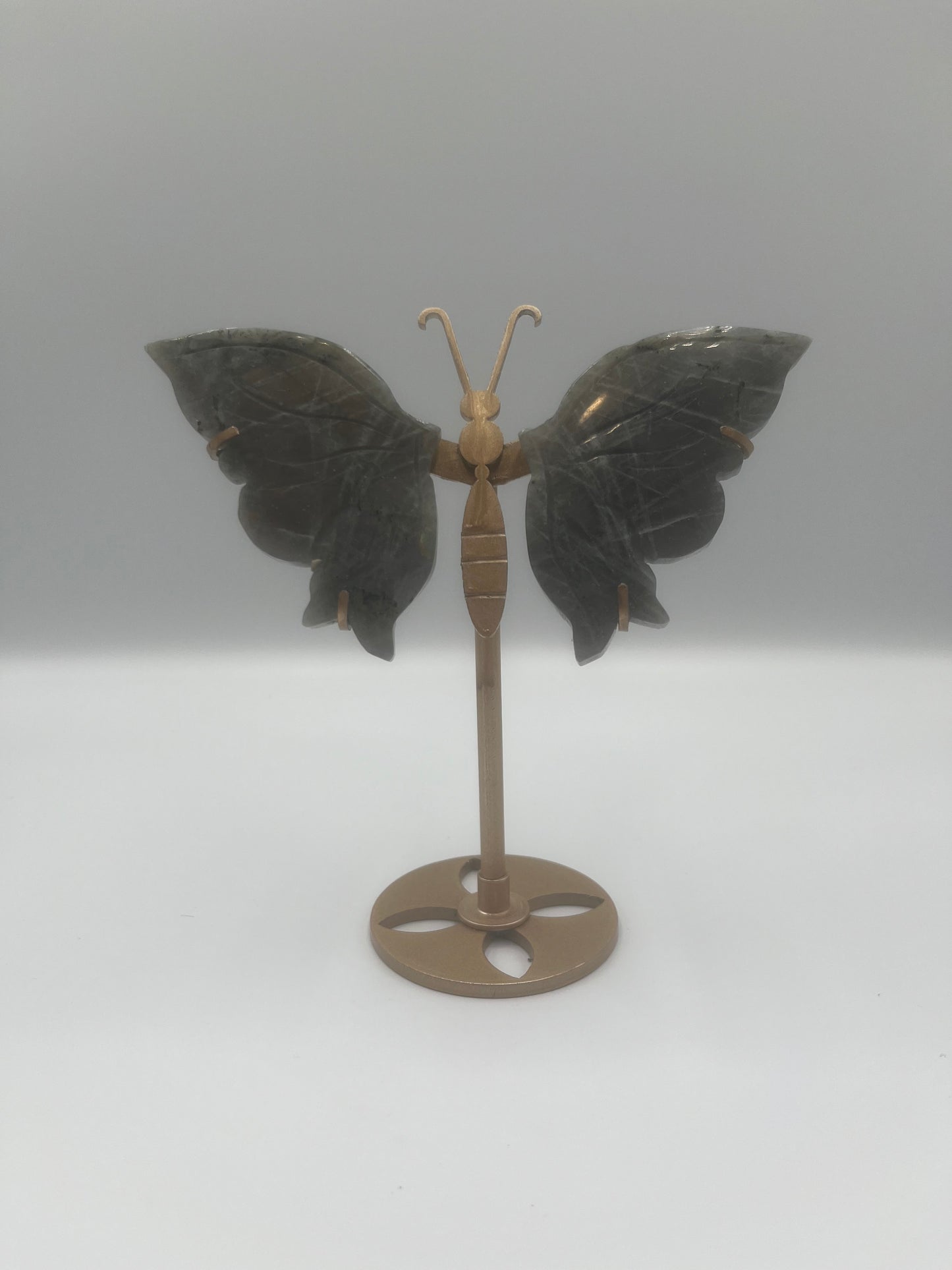 Motyl stojący (wybór)