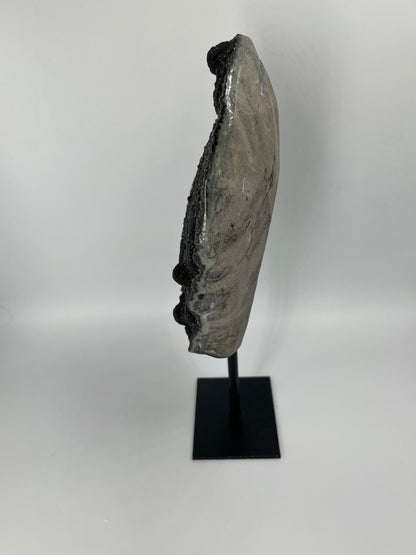 Ametyst Black Galaxy ABG-S-BL-002 EQ