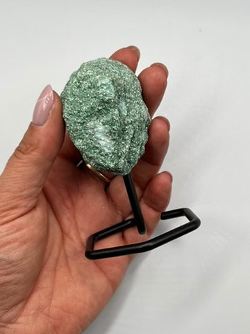 Fuksyt bryłka na stojaku