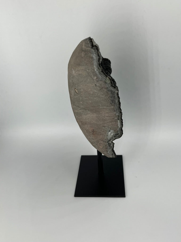 Ametyst Black Galaxy ABG-S-BL-003 EQ