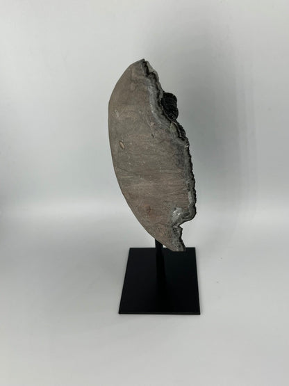 Ametyst Black Galaxy ABG-S-BL-003 EQ