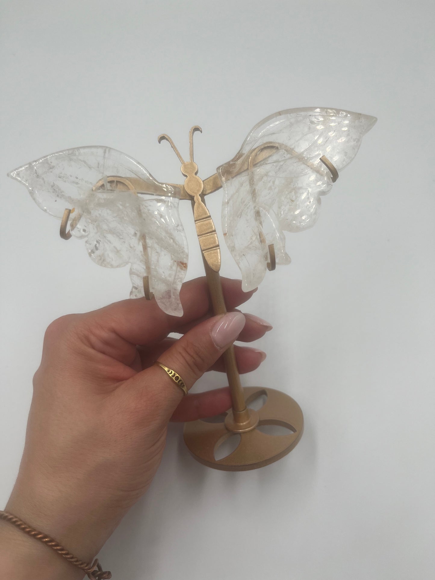 Motyl stojący (wybór)