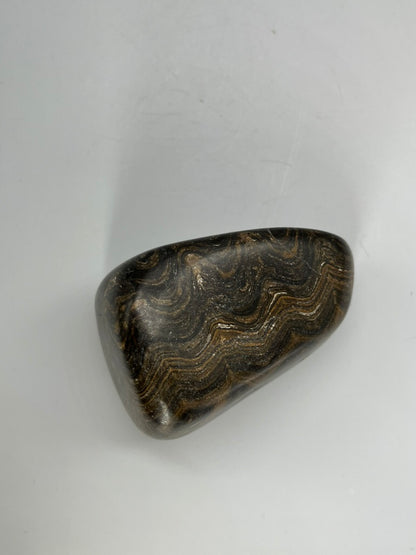 Stromatolit – polerowany okaz (duży) - ST-TB-B-003