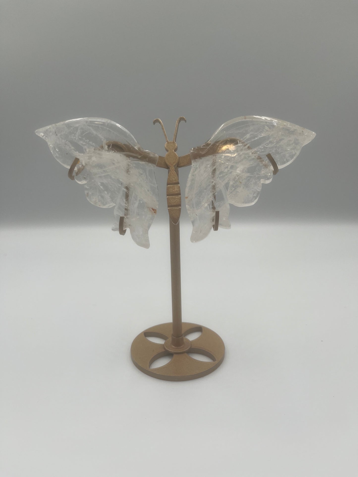 Motyl stojący (wybór)