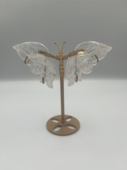 Motyl stojący (wybór)