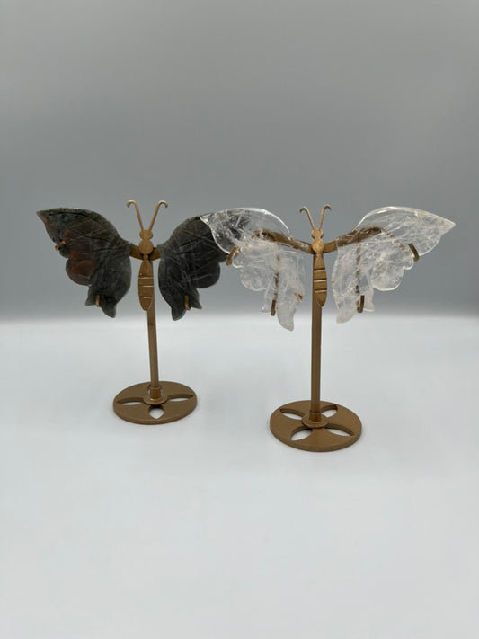 Motyl stojący (wybór)