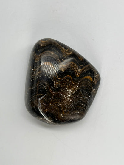 Stromatolit – polerowany okaz (mały) - ST-TB-B-001