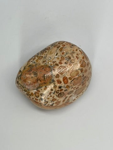 Jaspis lamparci polerowany LJ-TB-MULTI-003