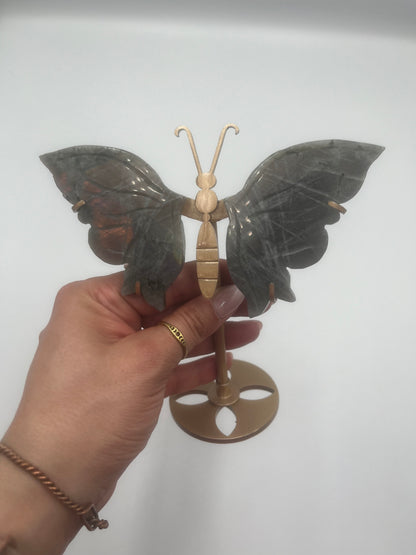 Motyl stojący (wybór)